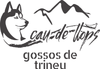 logo-caudellops-trans-grey